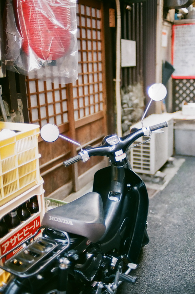黒カブ