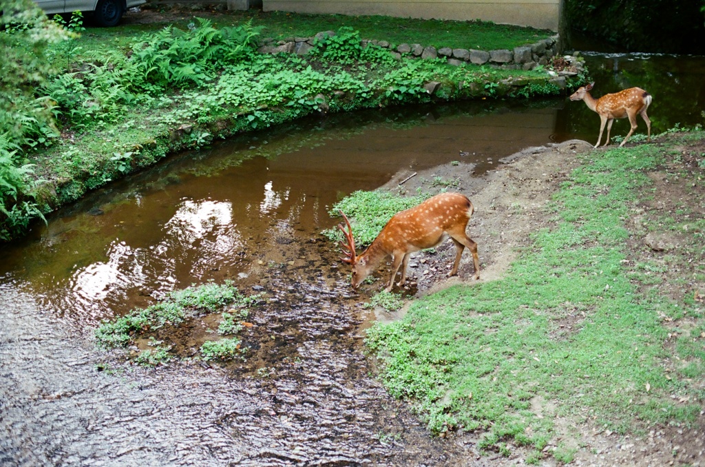 おいしい水