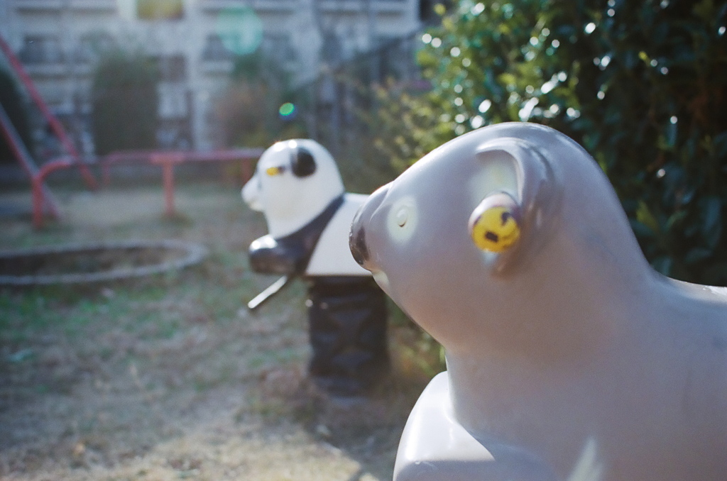 コアラとパンダ