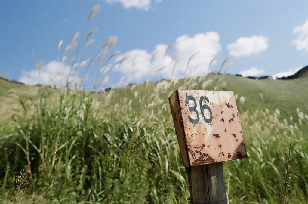 ３６