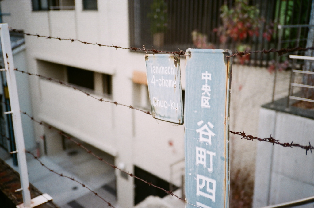 谷四