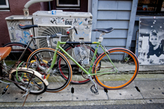 緑の自転車とホリー