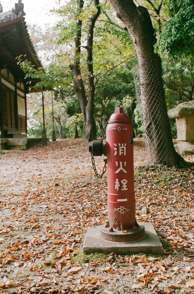消火栓
