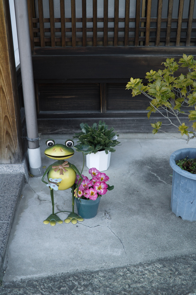 カエル