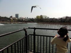 風