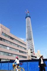青と青にはさまれて