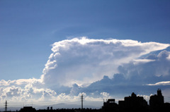 雲バス