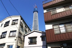 ツリーは街のアンテナです。