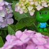 コロちゃん、 あまやどり