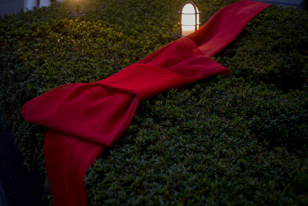 Big red ribbon