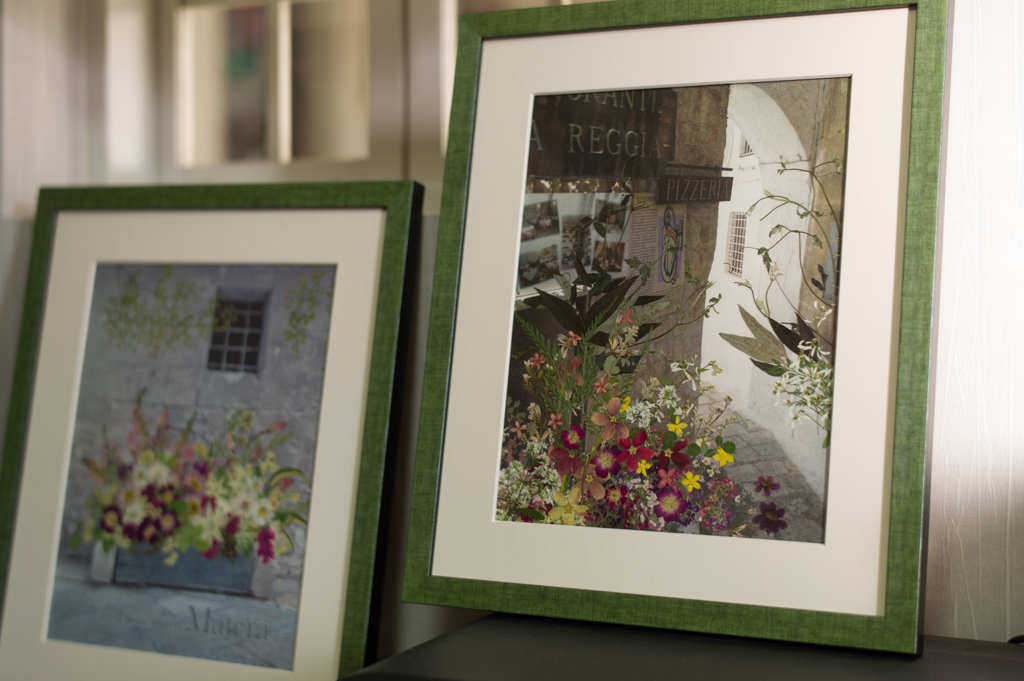 フィレンツェの小路（押し花)