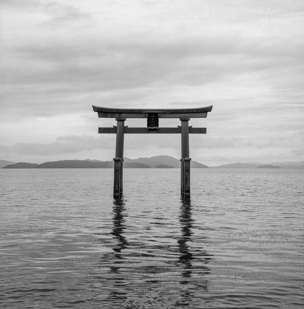 白鬚神社 湖中大鳥居