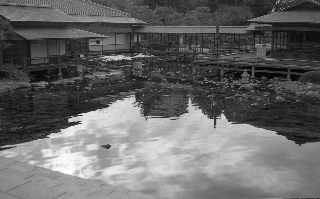 伯爵夫人の見た風景