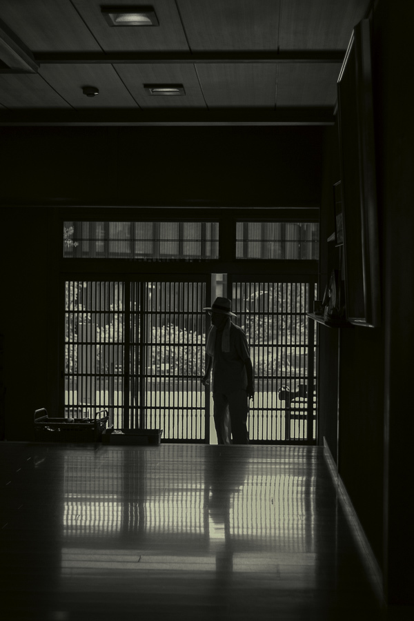 暑さをしのいで。