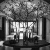 Flower of the hotel lounge