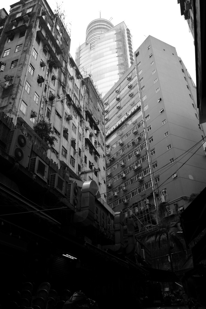 Hong Kong street 5