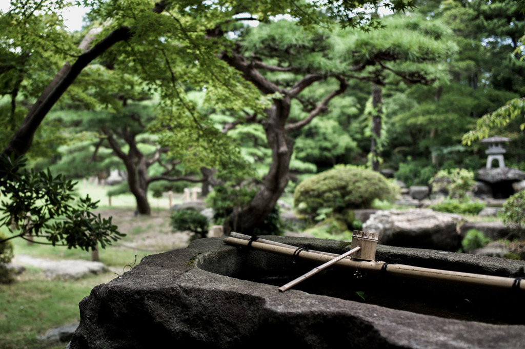 荘厳な緑の下で