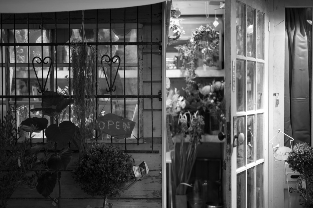 Flower shop