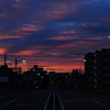 『突然の夕焼け』 の 日の朝焼け