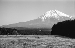 富士の裾野より