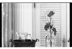 Red and White Flowers B/W