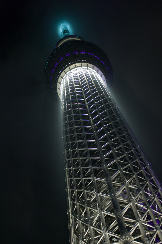 Tokyo Night