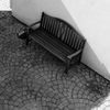 Montmartre chat
