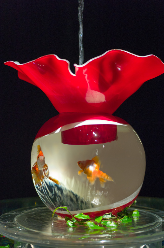 電飾金魚鉢 アートアクアリウム展 #1