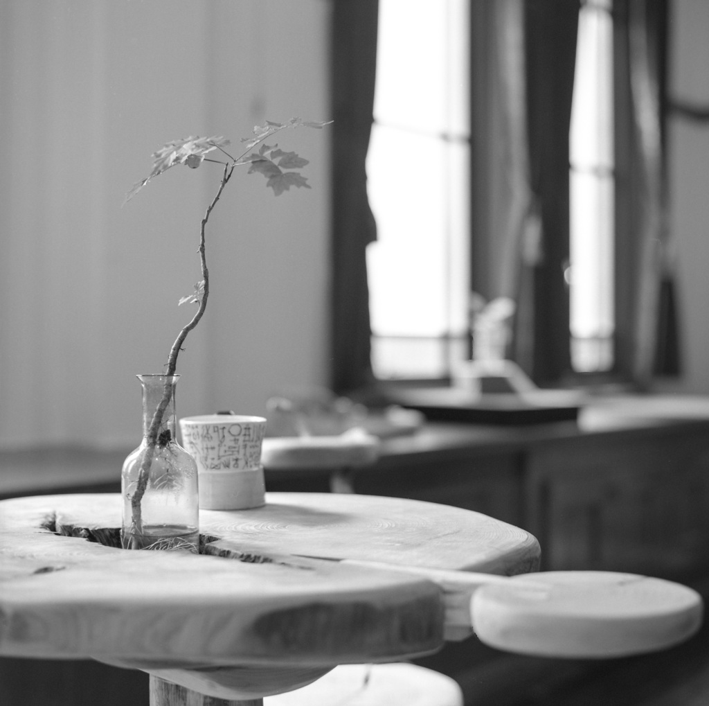 Flowers windowsill