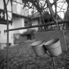 The two tin bucket