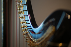 漆芸 Harp