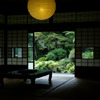 縁側からの庭の風景