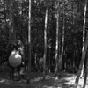 信楽の魔物