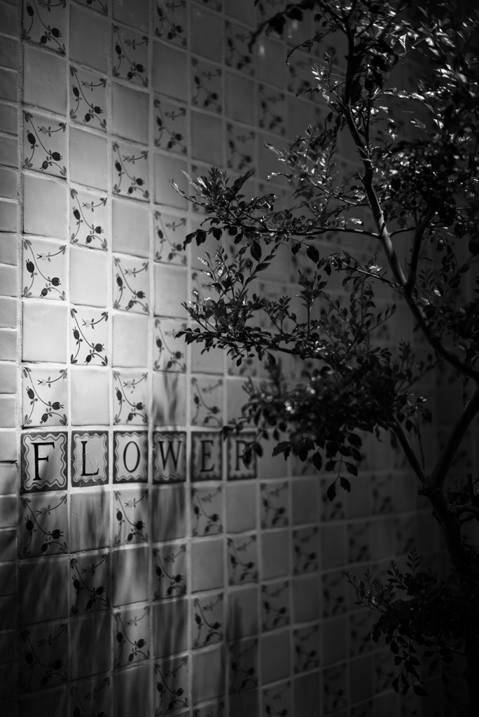 Night Snap Osu #4