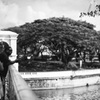 Landscape with man of Singapore #3