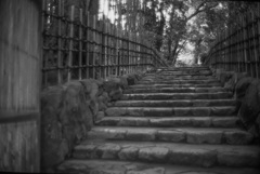 詩仙堂 #4