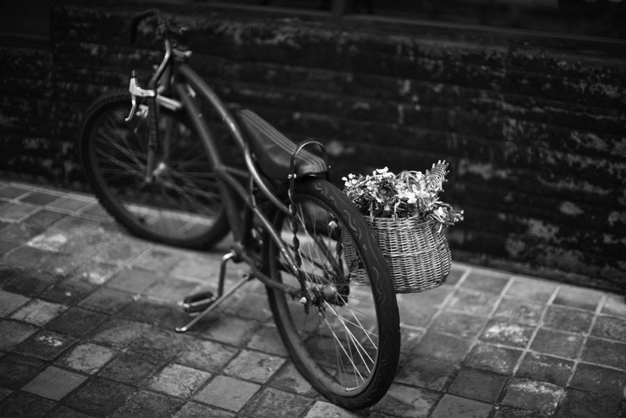 Bicycle carrying a flower basket in OSU