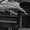 のどかな木曽路 #2