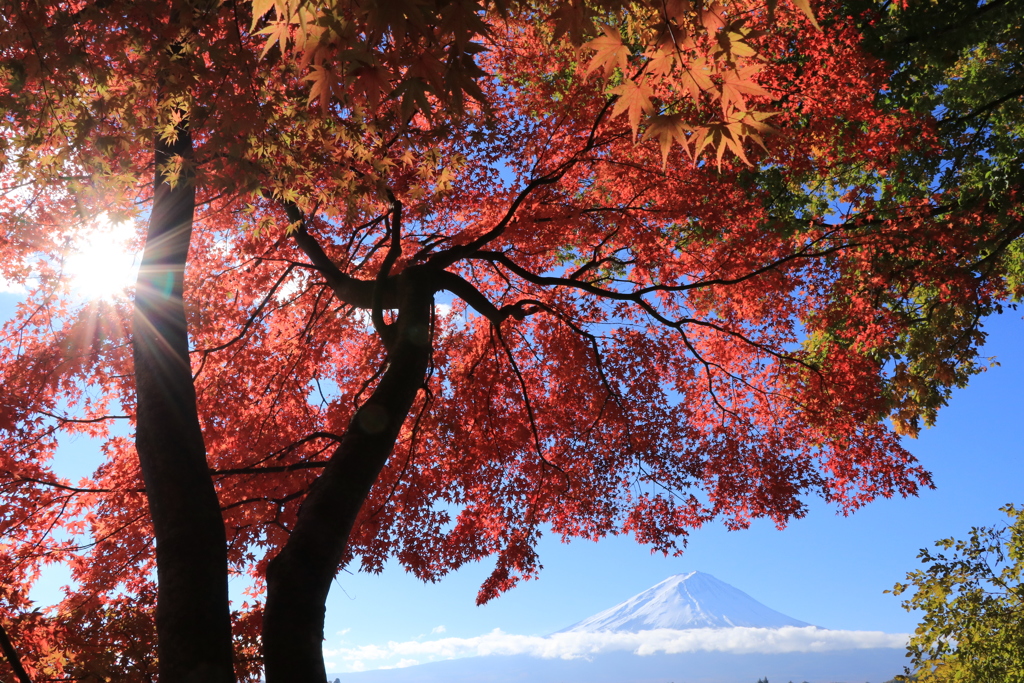 Autumn shows us how beautiful it is