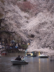 春を求めて