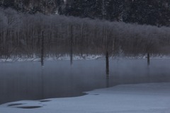 厳冬期　大正池