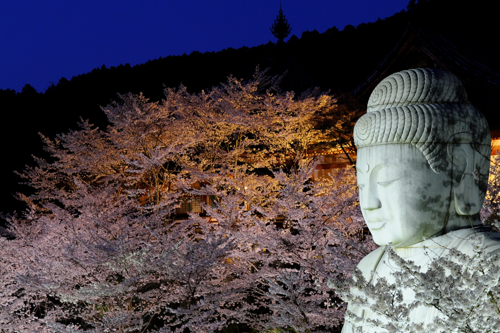 春夜につつまれて