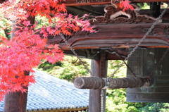 宮島の鐘と紅葉