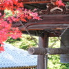 宮島の鐘と紅葉