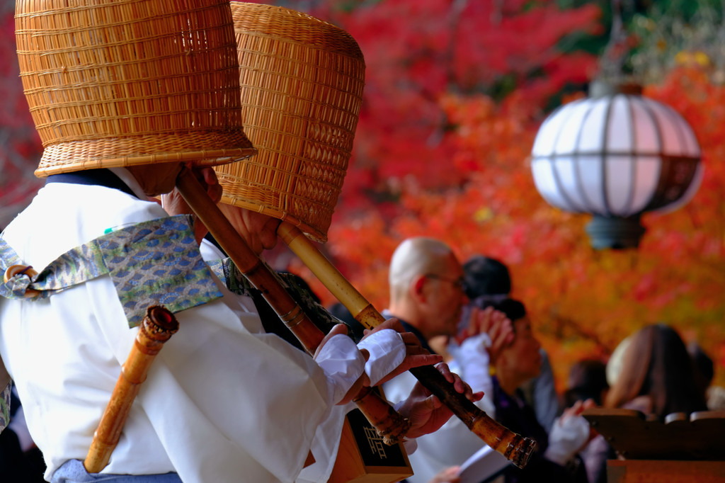 長谷寺紅葉さんぽ 五