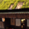 ゆっくりと