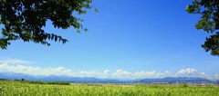 基地