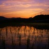 夕焼け