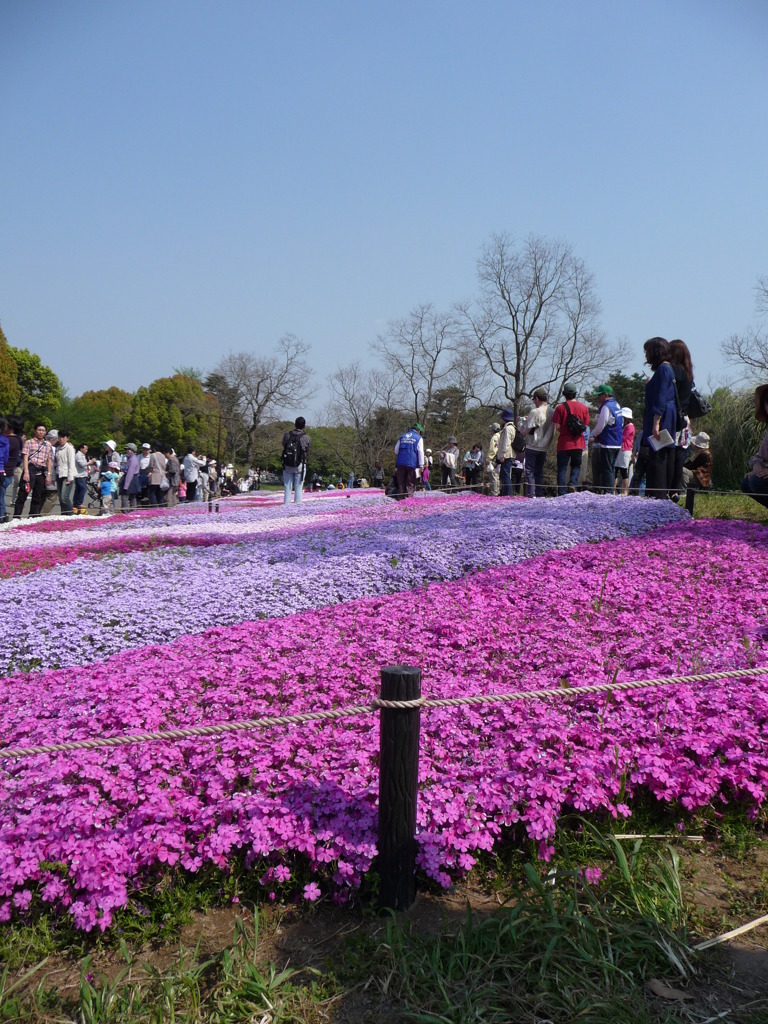 20100502昭和紀念公園
