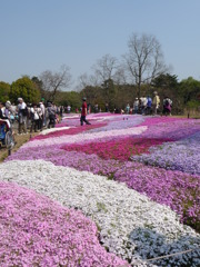 20100502昭和紀念公園